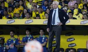 巴媒：巴西队确认10月约战日本队，比赛将在东京举行