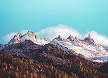 体育平台：让运动走进日常的全新生活方式